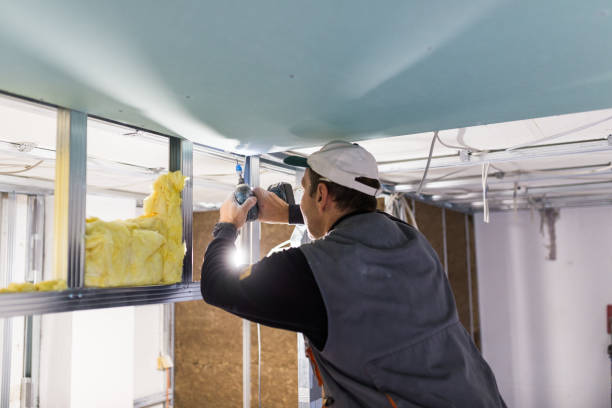 Best Insulation Repair Services  in Cordaville, MA